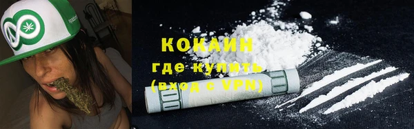 сатива Арсеньев