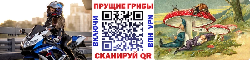 ОМГ ОМГ зеркало  где можно купить наркотик  Певек  Галлюциногенные грибы MAGIC MUSHROOMS 